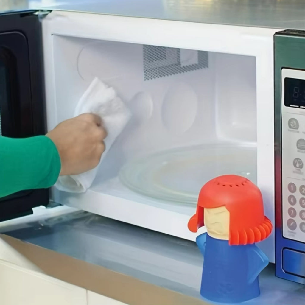 Velroxa Eco-Steam Microwave Cleaner